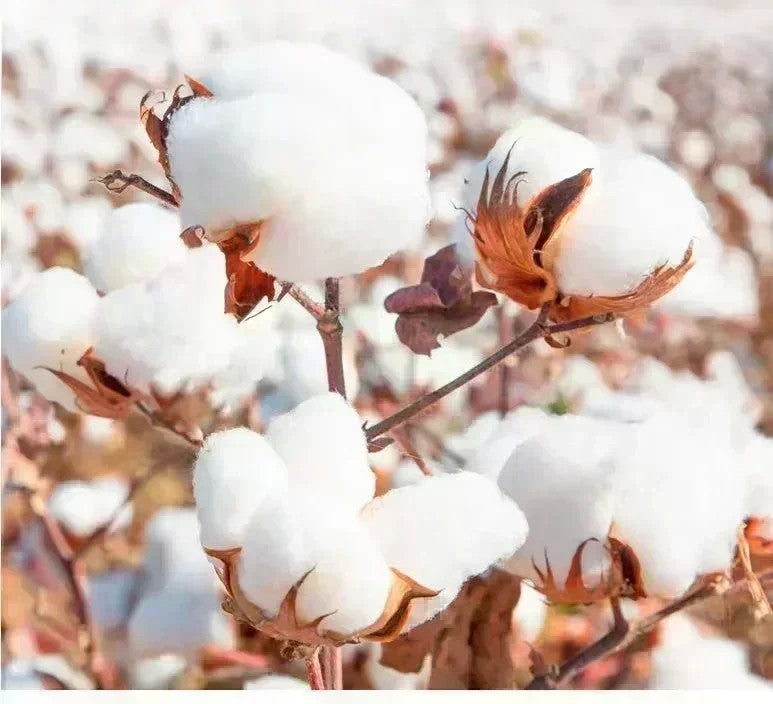 Marca na moda masculina e feminina popular camiseta de algodão pesado em torno